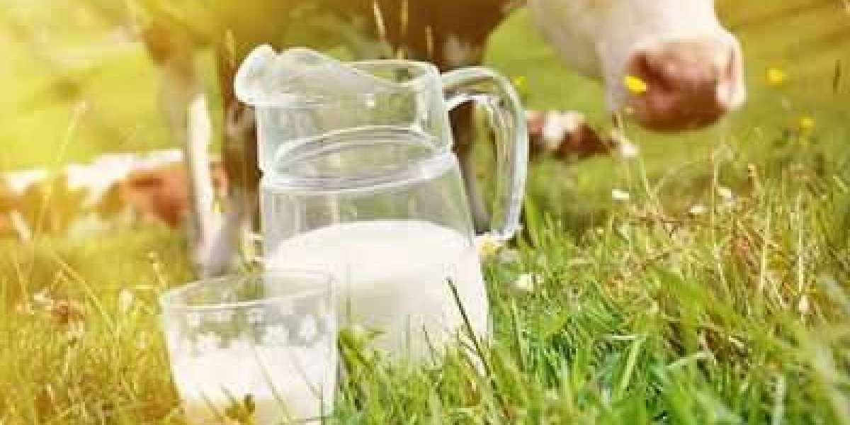Dairy Industry In Karnataka Outlook, Growth & Demand Forecast 2025-2033