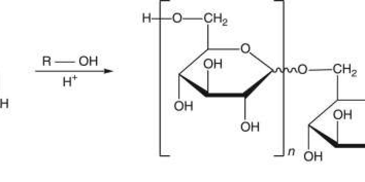 Alkyl Polyglucosides Market Performance Analysis Across Key End Use Industries