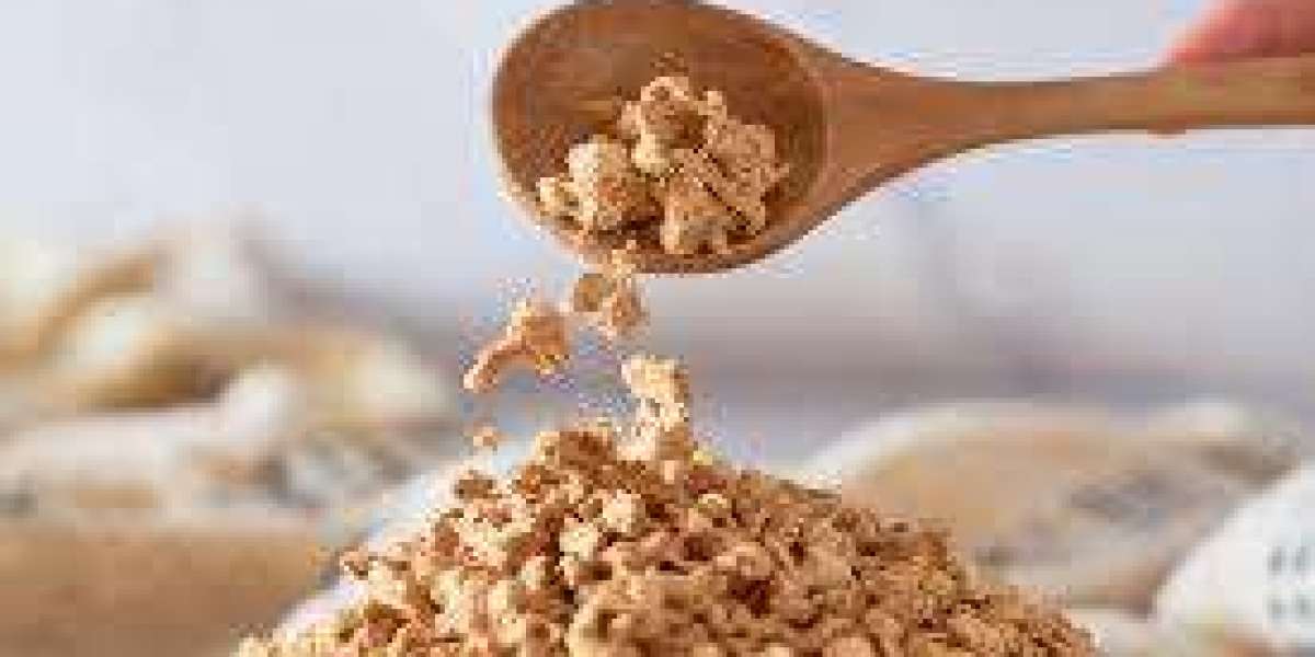 Regional Analysis of the Textured Vegetable Protein Market: Asia-Pacific to Europe (2025–2034)