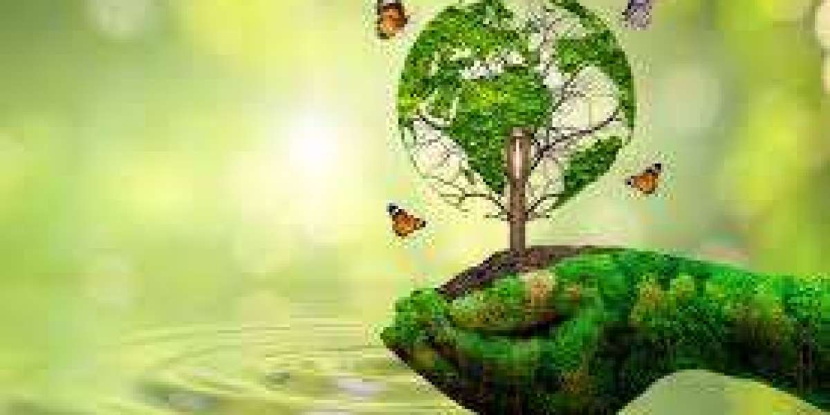 Kamil Pyciak: The Path of Conscious Progress