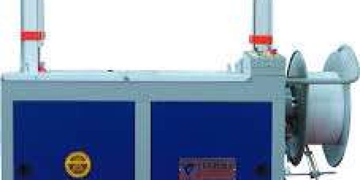 Automatic Strapping Machine Market Impacted by Technological Standardization Across Equipment Segments