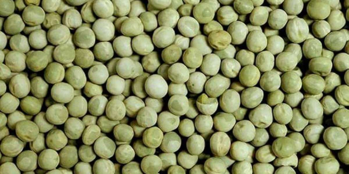 Regional Growth Hotspots in Dried Peas: North America, Europe, Asia-Pacific, and LATAM