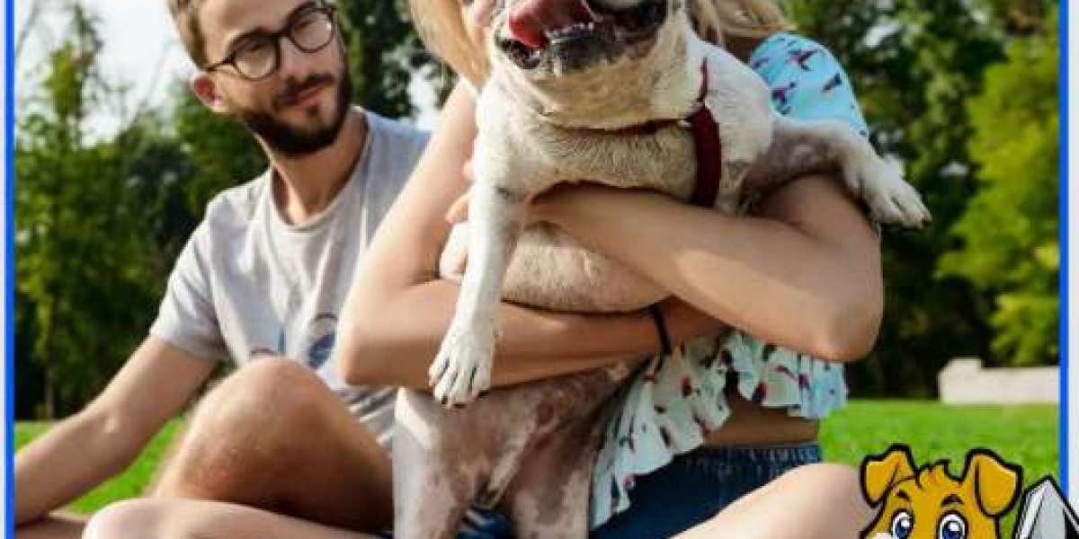 Your Trusted Dog Pooper Scooper & Yard Cleaning Service — Clean, Safe, and Hassle-Free!