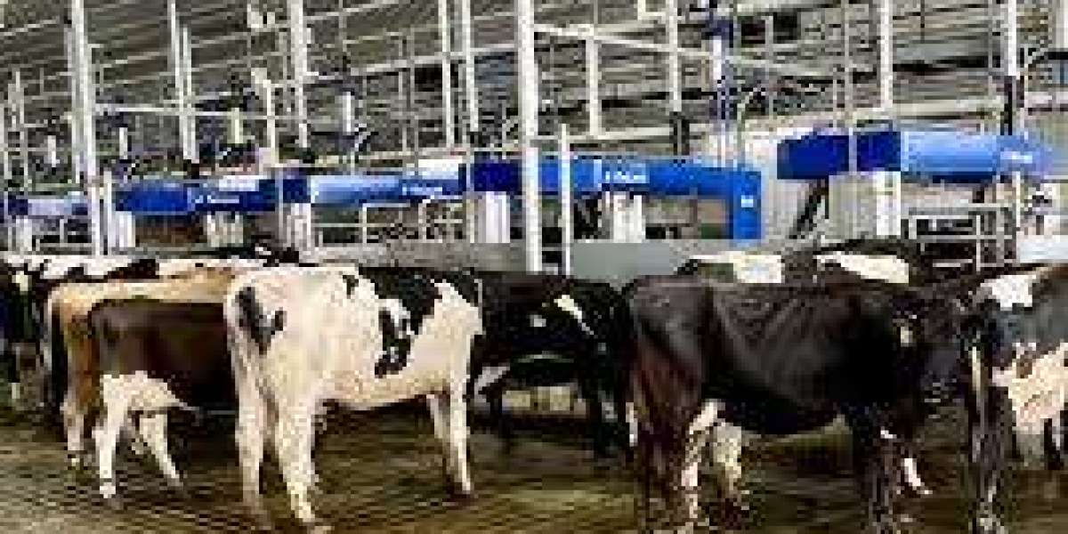 Milking Automation Market Segmentation: By System Type, Herd Size, and Business Model