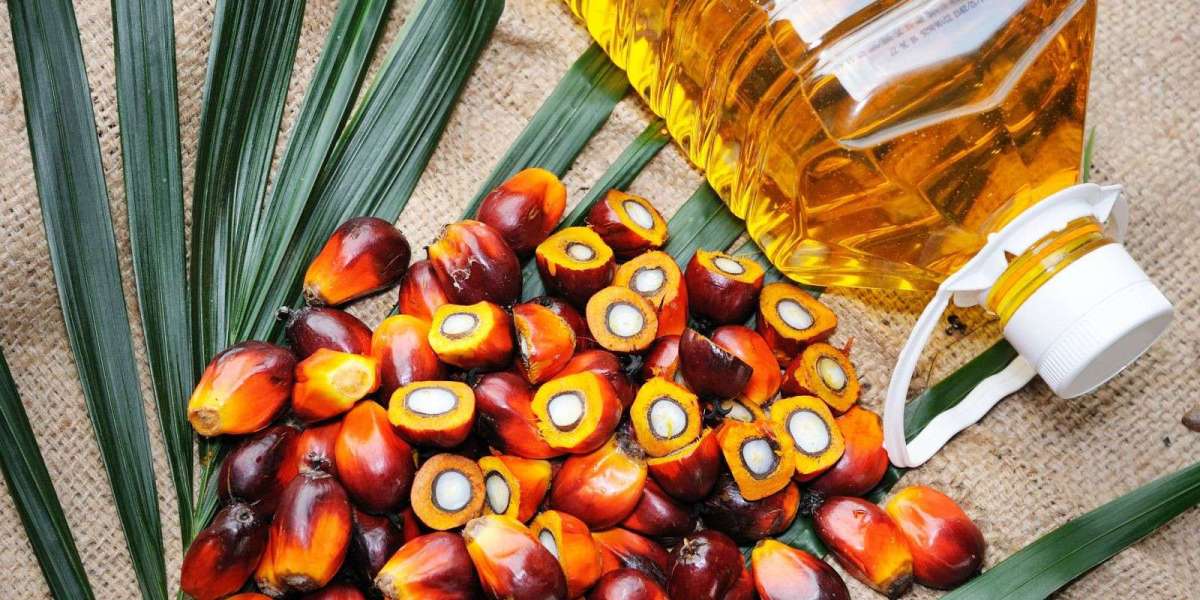 Palm Oil in Food Processing: Functional Benefits, Reformulation Trends, and Cost Optimization