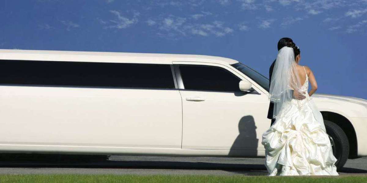 Why Choose a Professional Limo Service in Scarborough for Your Next Event