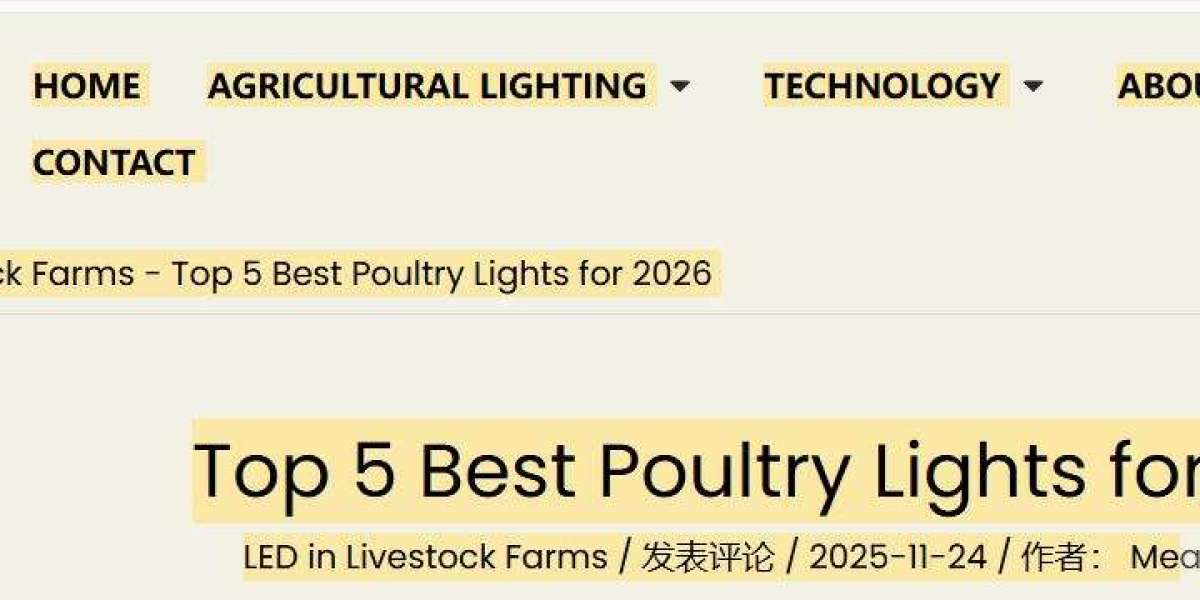 Cattle Lighting — Enhancing Dairy Production and Animal Welfare on Modern Farms