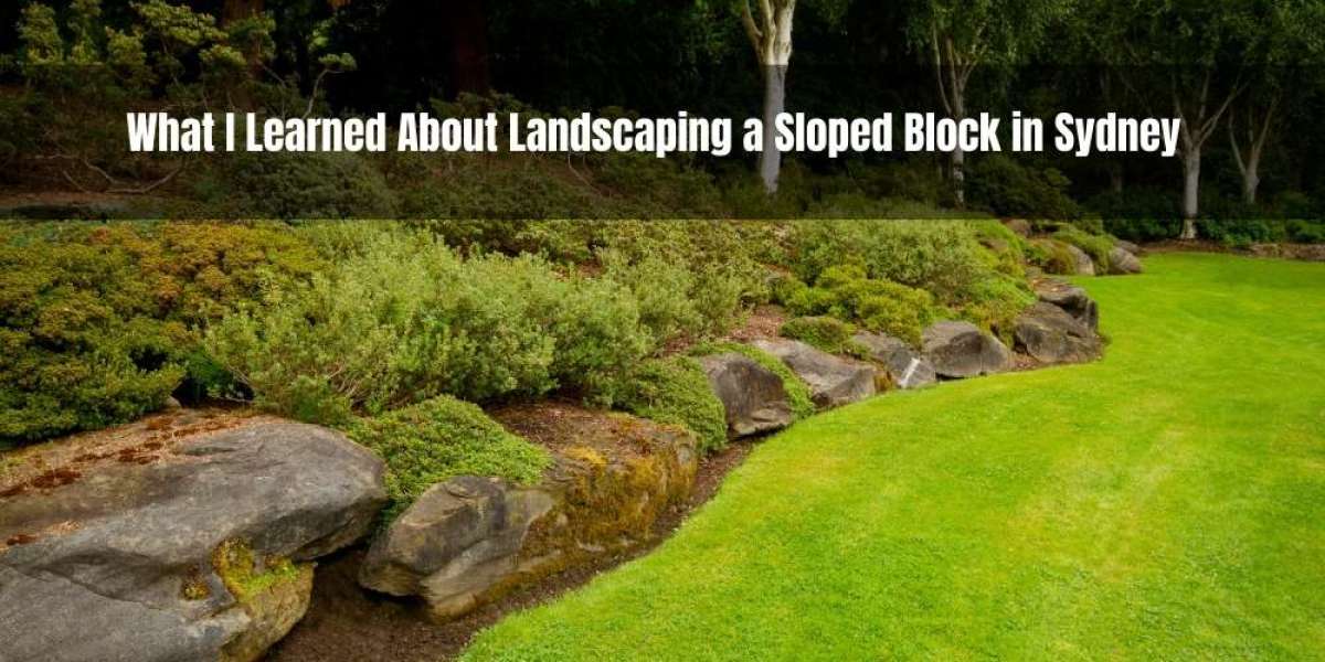 What I Learned About Landscaping a Sloped Block in Sydney