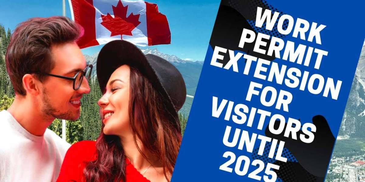 The Transition Point: A Guide to Shifting Gears for Your Spouse Visa Extension