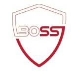 Boss Security