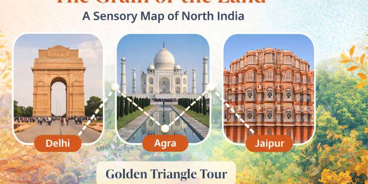 The Grain of the Land: A Sensory Map of North India