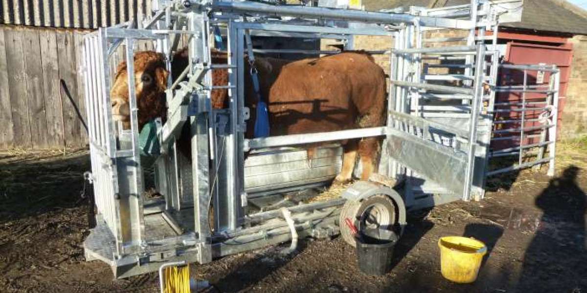 Cattle Squeeze Market Emerging Trends Shifts Innovations Impact Analysis