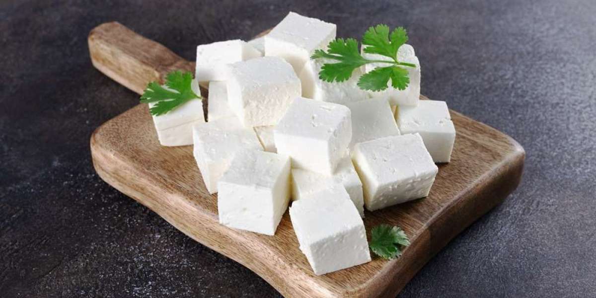 Paneer Market In India Trends, Growth, and Demand Forecast 2025-2033