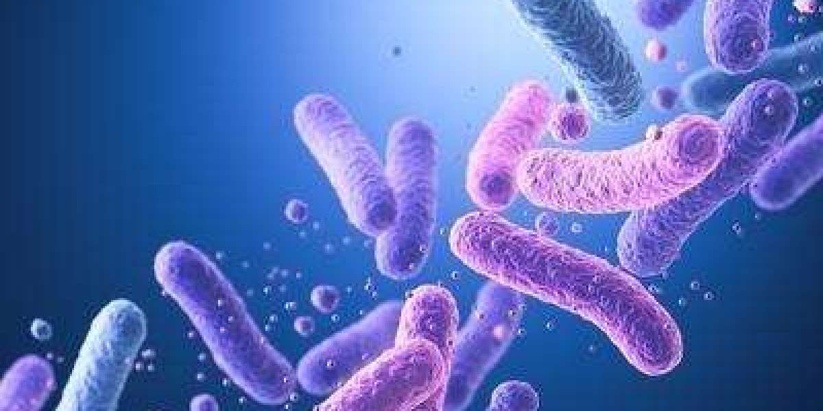 India Probiotics Market Growth, Size & Trends Report 2026-2034