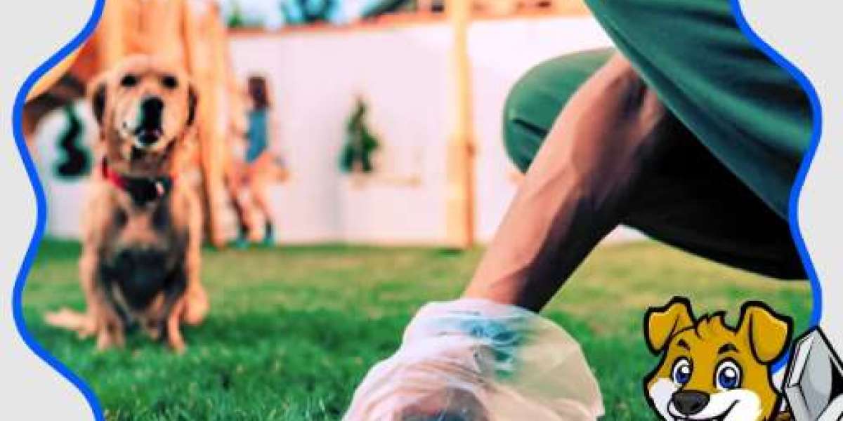 Reliable Dog Poop Pickup in DFW for a Cleaner, Healthier Yard