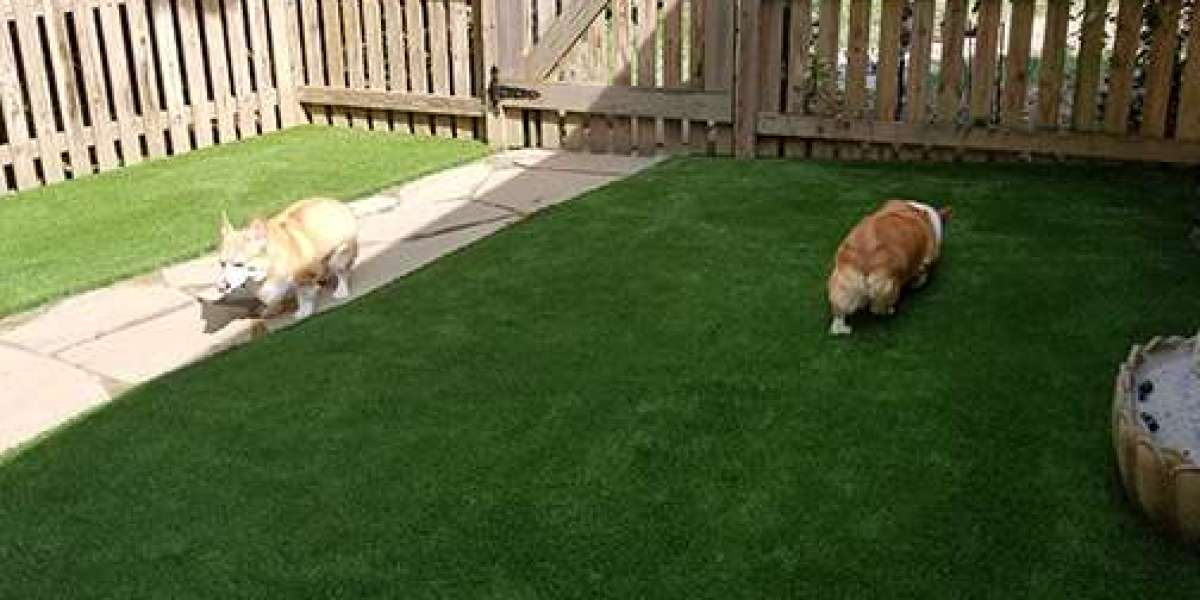 Transform Your Outdoor Space with Professional Synthetic Turf Installation