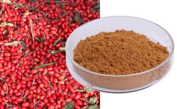Dogwood Fruit Extract