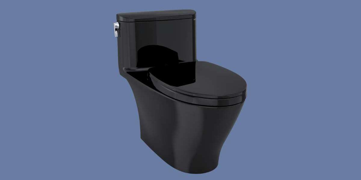 Top 10 Best Luxury Toilets in the United States