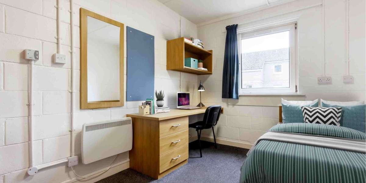 How to Choose the Perfect Student Bed