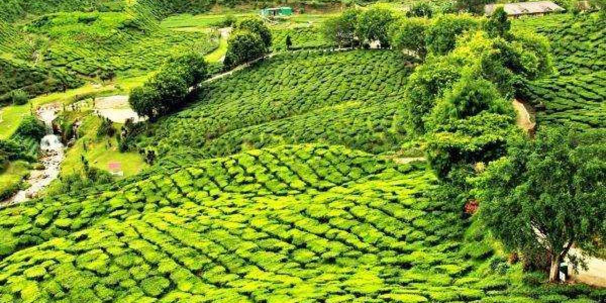 Adventure and Water Sports on Sri Lanka’s Beaches