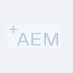 AEM Electrolysis
