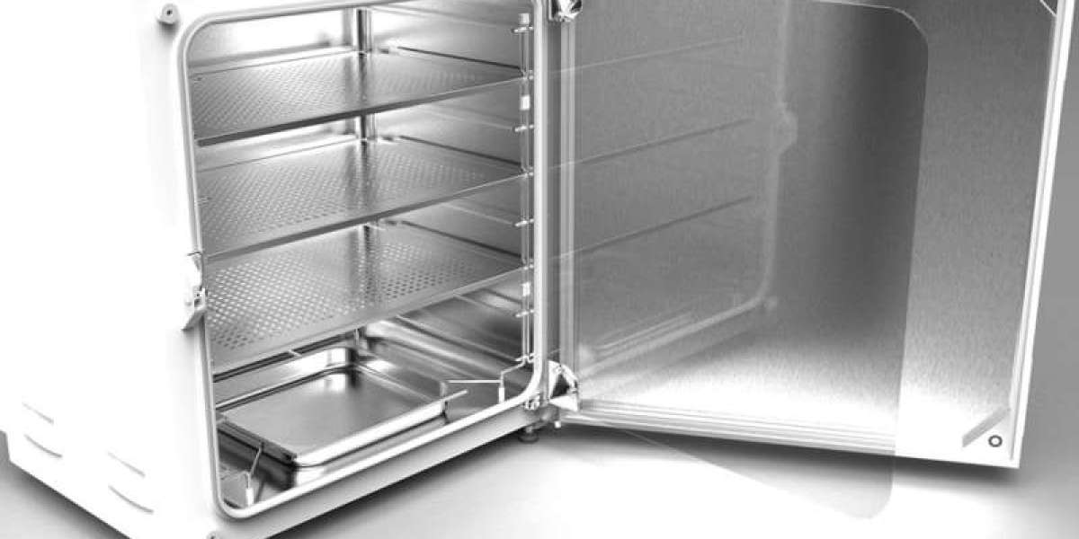 Carbon Dioxide (CO₂) Incubator Market Outlook Highlighting Growth Prospects and Strategic Imperatives