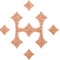 Best Hair Transplant Clinic in Delhi, India – Dr. Haror’s Wellness