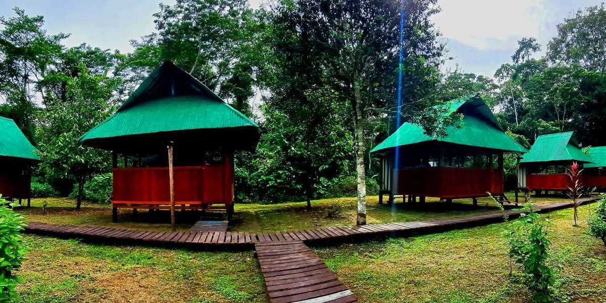 Top Wildlife Encounters to Look Forward to on Manu Jungle Trips