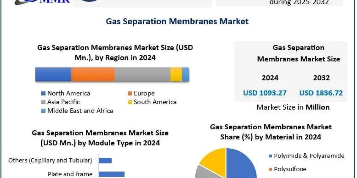 Gas Separation Membranes Market Development Key Insights and Emerging Segments 2025-2032