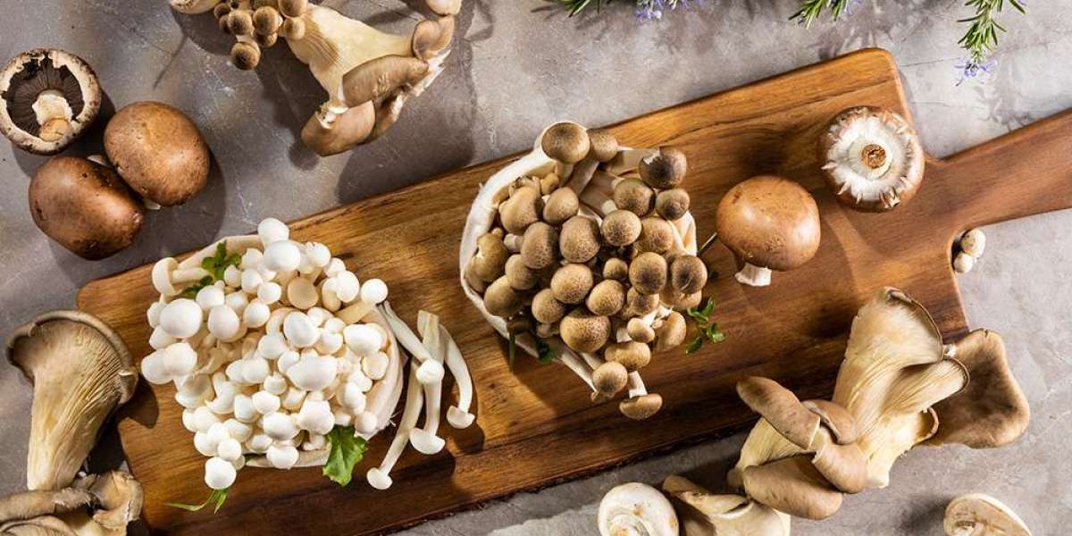 Organic Mushroom Market Trends, Demand Drivers, and Future Outlook