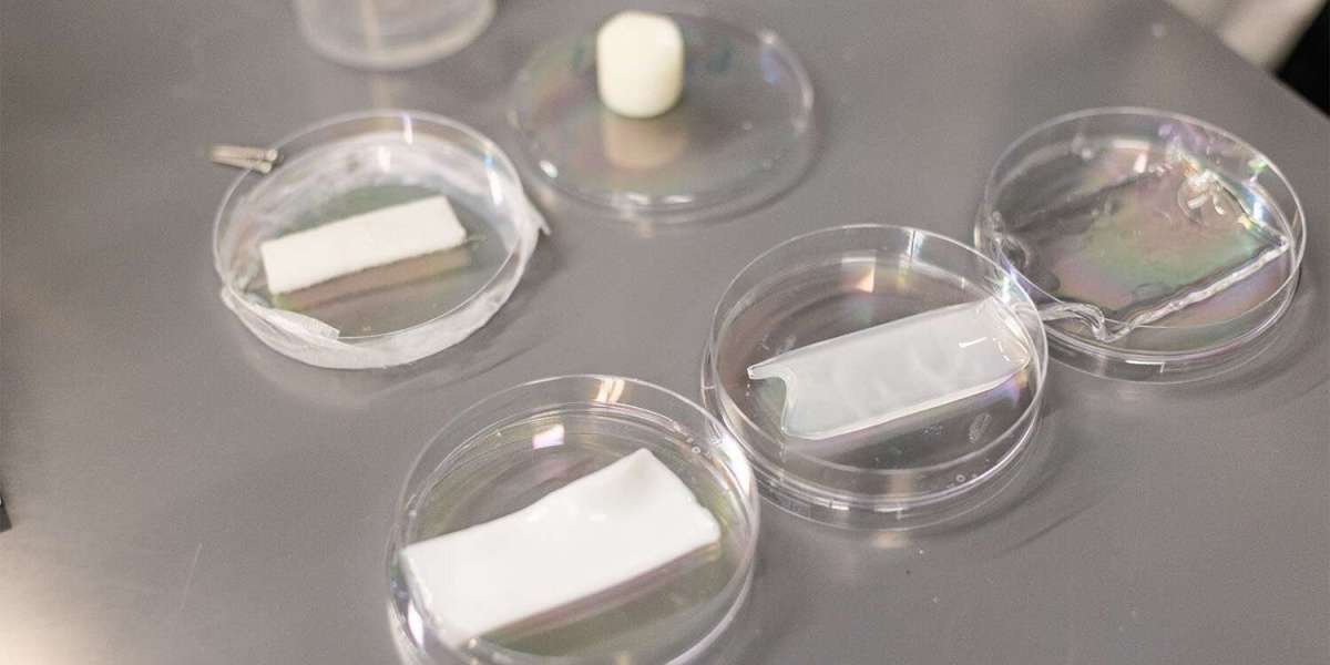 Conditioning Polymers Market Enabling Breakthroughs In Functional Ingredient Technologies