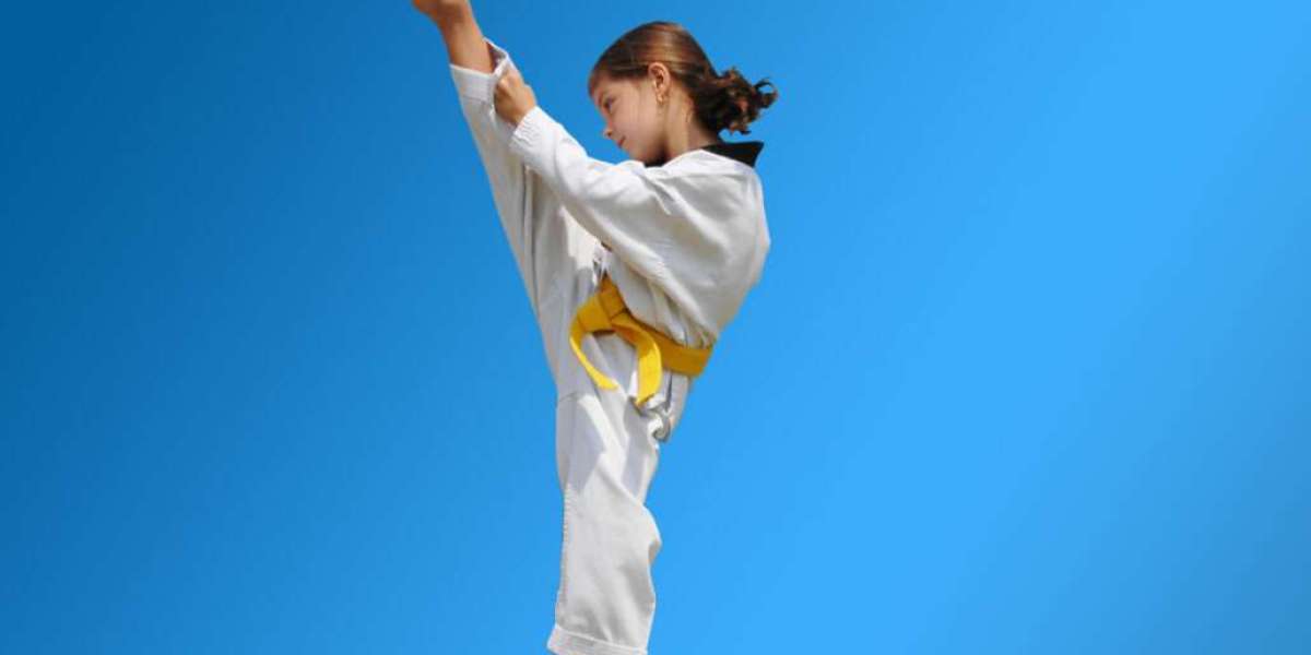Pinnacle Martial Arts – Expert MARTIAL ARTS Marrickville Training for All Ages