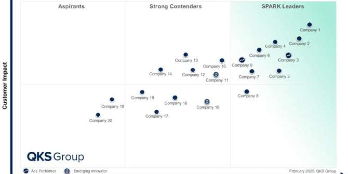 Global Expansion Simplified: Insights from the SPARK Matrix Employer of Record Research