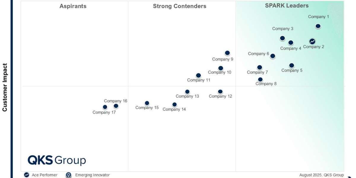 SPARK Matrix Statement of Work for Services Procurement Market Insights