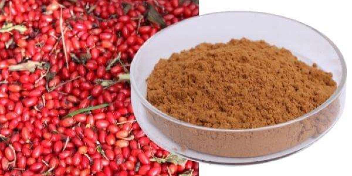 The Sourcing Puzzle: Unpacking China's Dogwood Fruit Extract Market