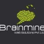 brainmineindia