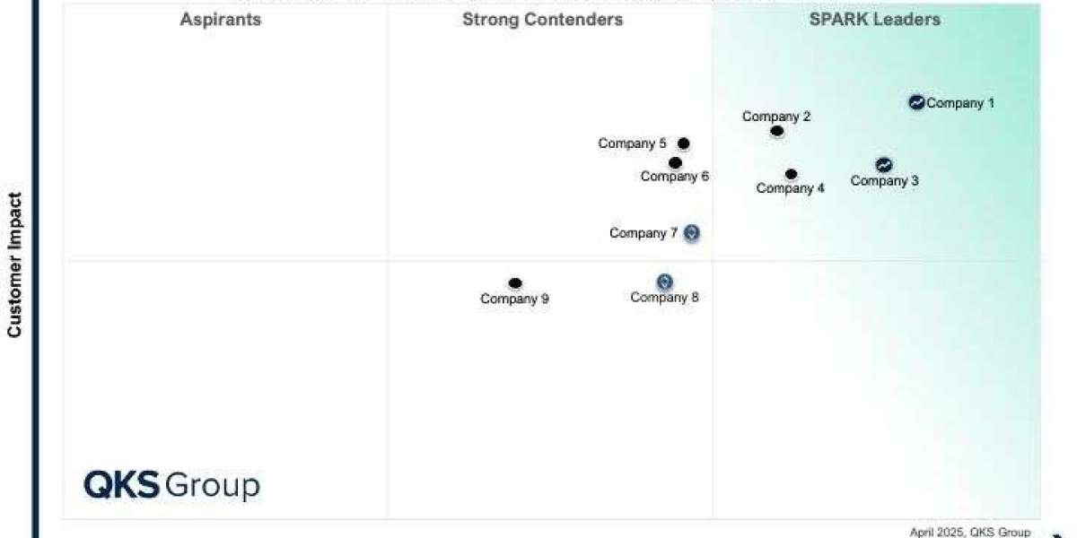 SPARK Matrix™: Supply Chain Network Design