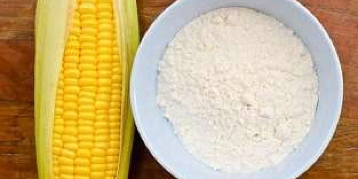 Organic Starch Market Potential Unlocking Growth Pathways and Expanding Industrial Applications