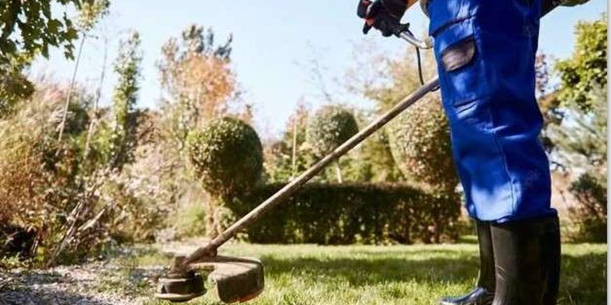 Professional Lawn Mowing & Garden Maintenance in South Coogee