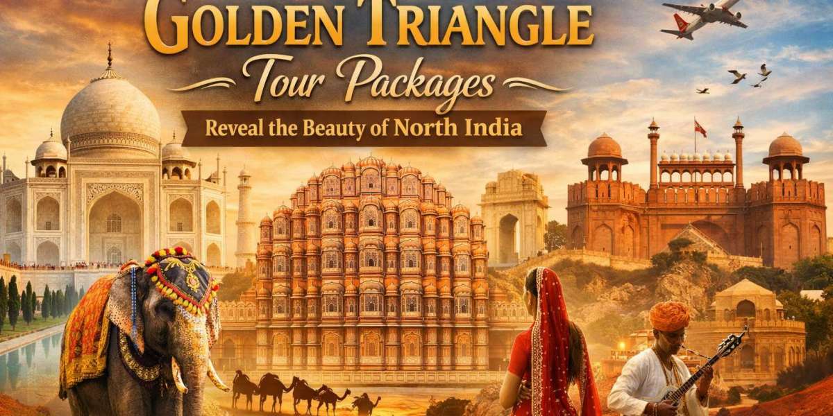 How Golden Triangle Tour Packages Reveal the Beauty of North India