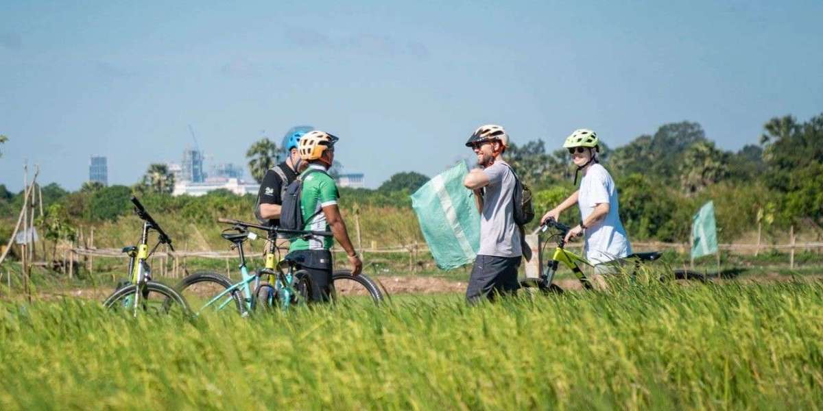 Discover the Charm of the Countryside on a Bicycle Tour in Cambodia