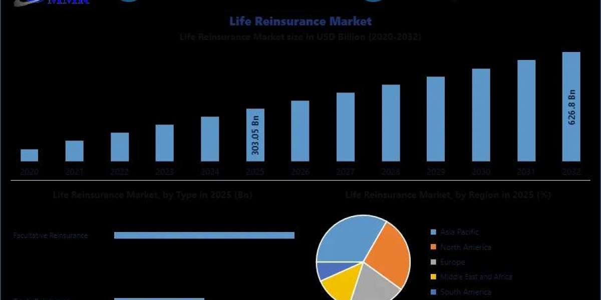 Life Reinsurance Market Demand Trends and Revenue Forecast 2025-2032