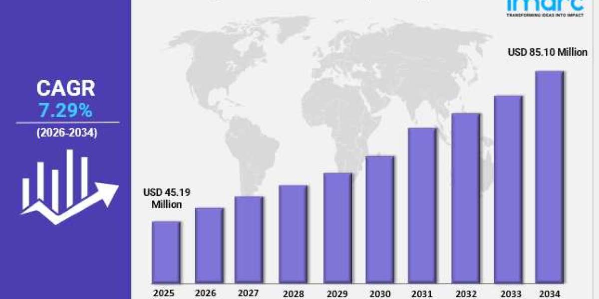 Mexico Motorcycle Tires Market Market Share, Size, In-Depth Analysis and Forecast Report by 2026-2034