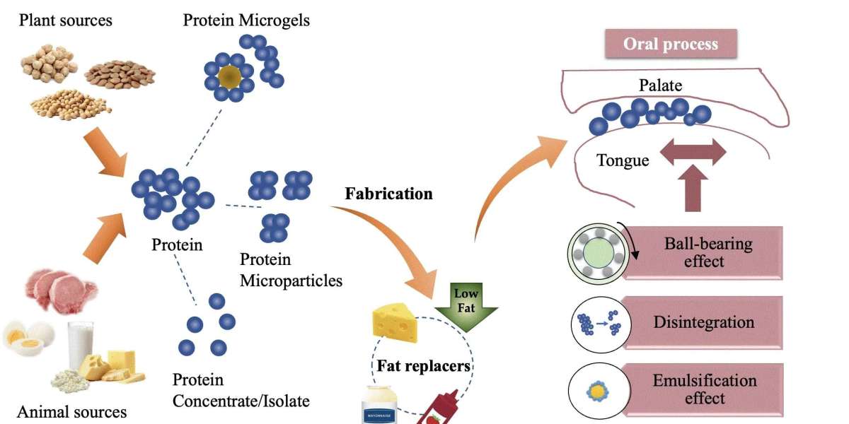 Top 20 Companies in Japan Fat Replacers Market 2025: Market Statistics Report