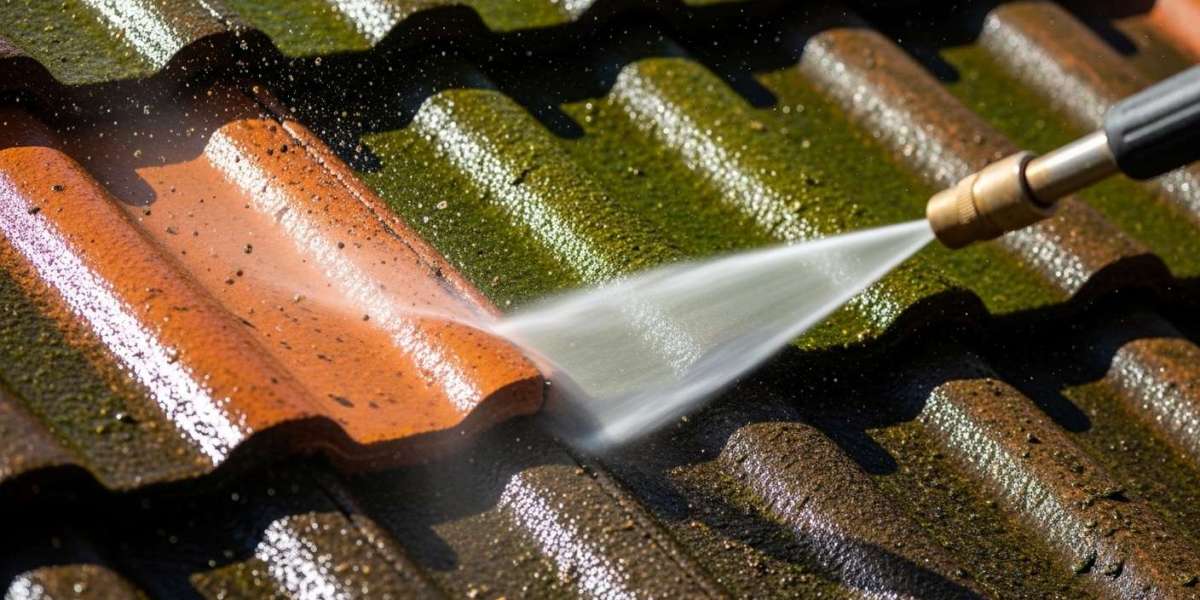 Is Roof Pressure Washing Right for Your Property? Here’s What You Need to Know