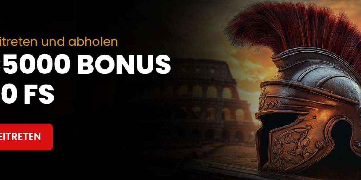 Rollero Guide: Vertrauenswürdige digitale Plattformen in Deutschland im Überblick