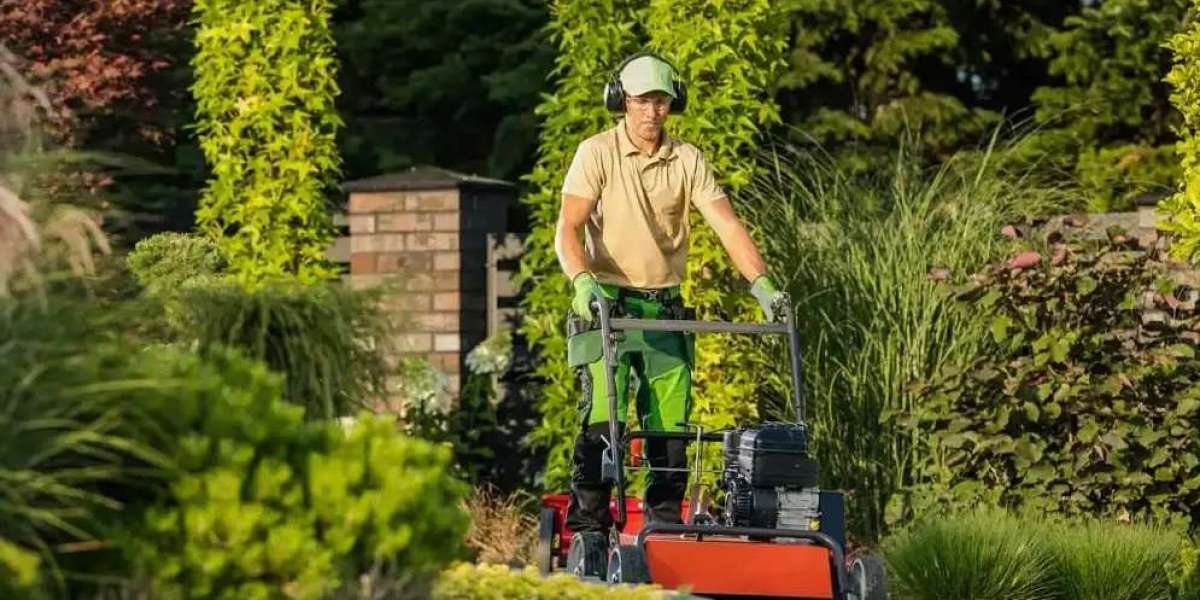 Trusted professional landscaping service colleyville tx for Outdoor Care