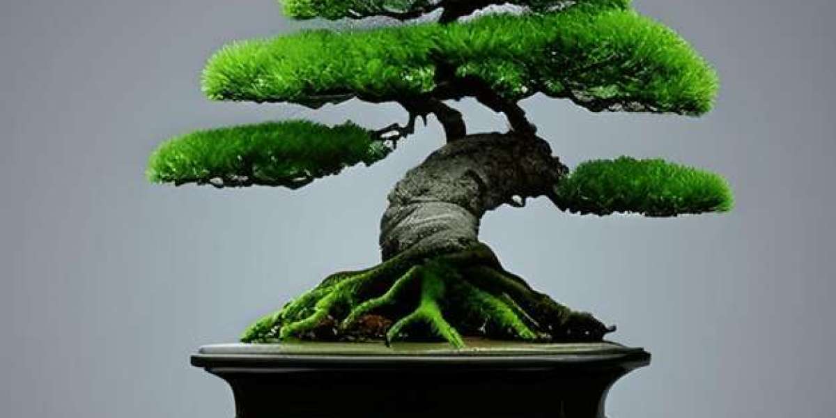 Bonsai Market Opportunities Driving Sustainable Growth In Global Ornamental Plant Industry Expansion Trends
