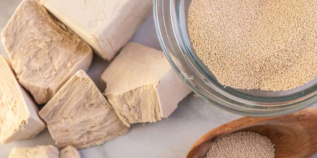 Dry Yeast Market Developments Reveal A Hidden Catalyst Driving Global Baking Innovation Surge