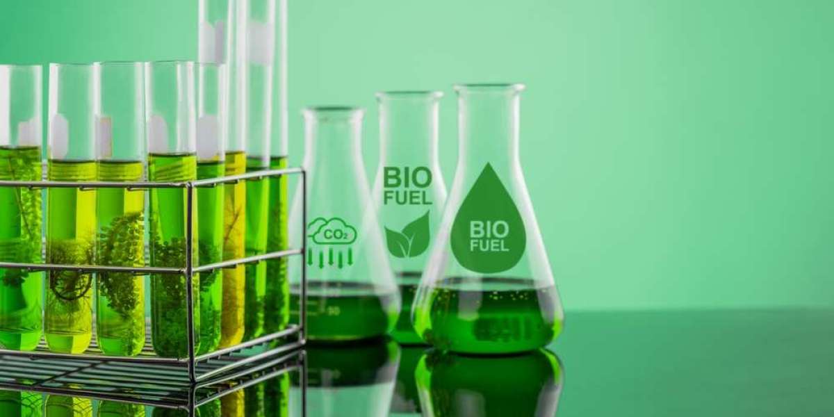 Biofuel Testing Services Market Developments Signal Disruptive Evolution Influencing Certification And Advanced Testing 